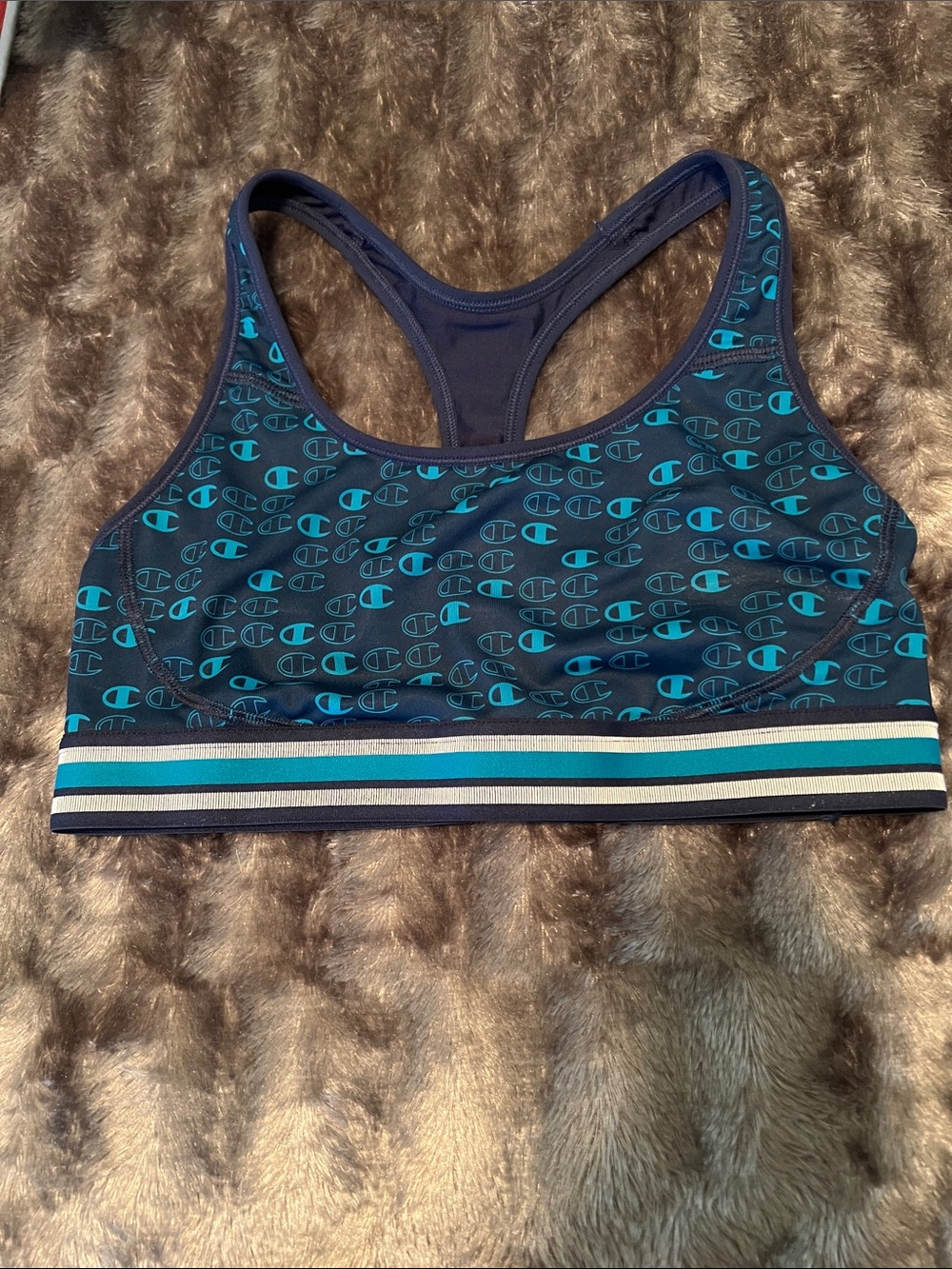 Champion Navy Sports Bra with Teal Logo Print and Striped Band